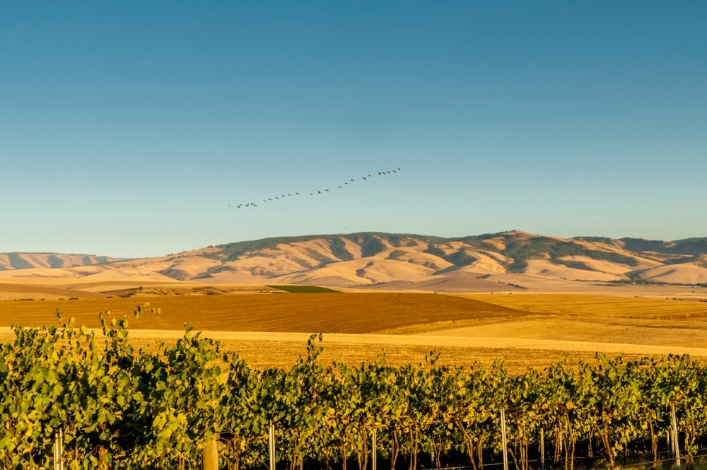 Things to do in Walla Walla