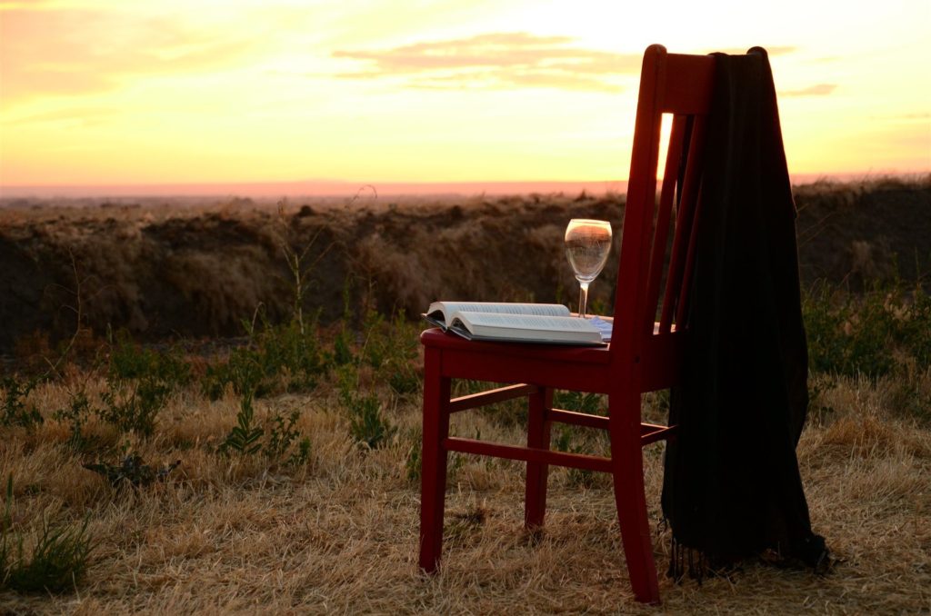 Chair with glass, book on seat and light blanket hanging off the top right side of the chair's back in field with seedling trees, forest and sunset in the background