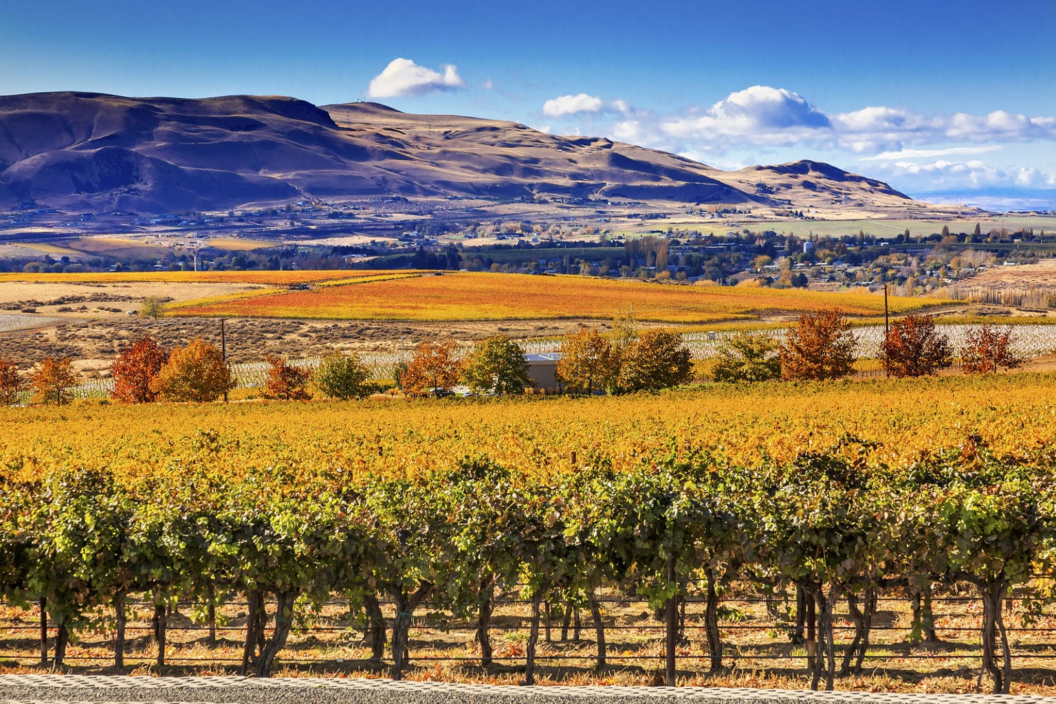 Walla 10 Stunning Walla Walla Wineries To Visit This Fall